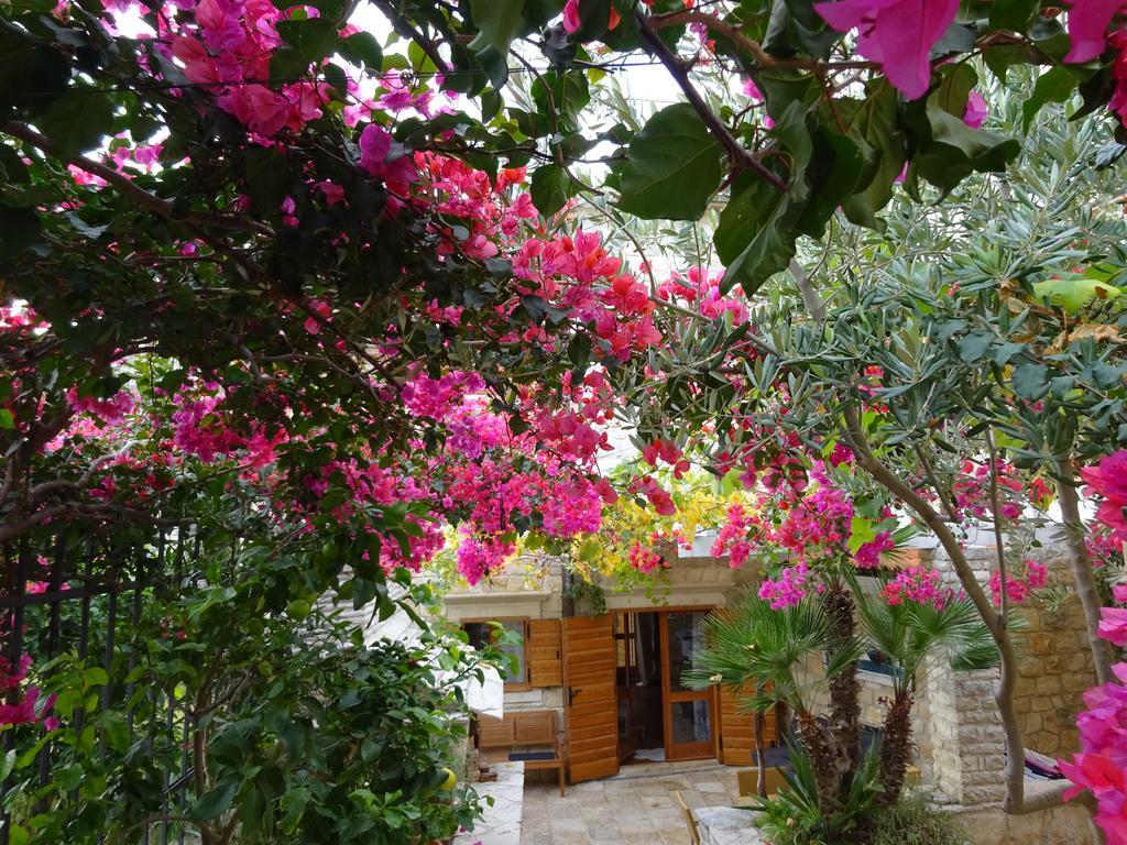 Villa Alma Komiza Island Vis Eksteriør billede
